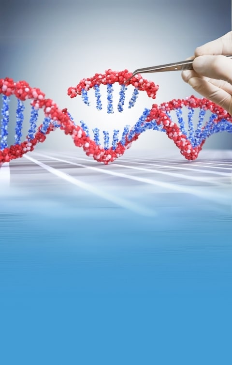 Sequencing Services & Training Courses